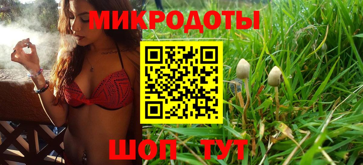 Псилоцибиновые грибы мицелий Сосновый Бор
