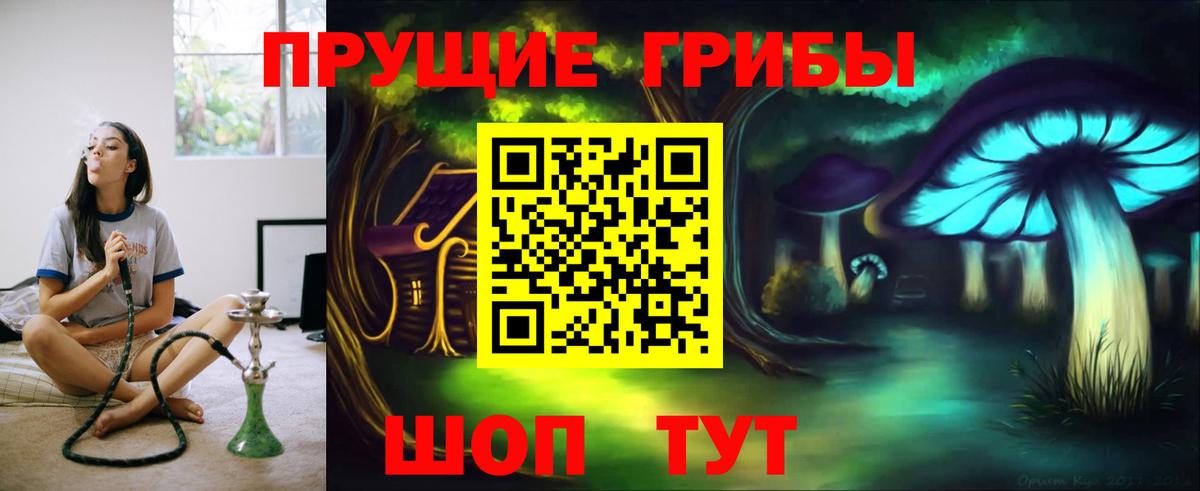 Сосновый Бор  Псилоцибиновые грибы Magic Shrooms  Вход с VPN 
